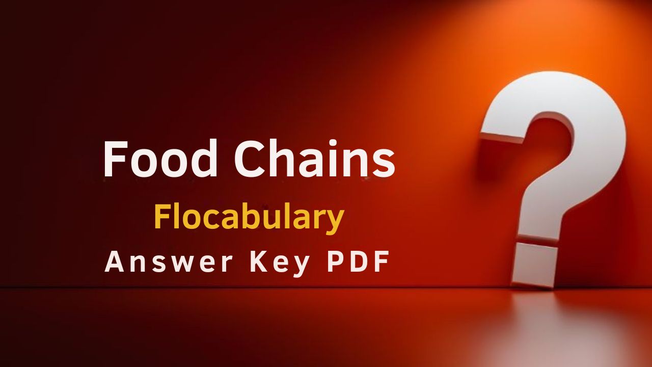 Food Chains Flocabulary Answer Key PDF