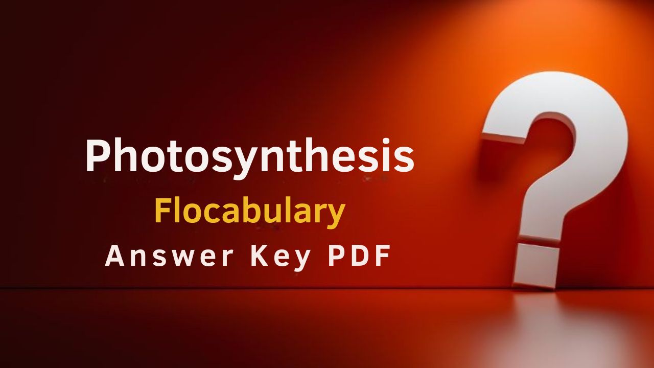 Photosynthesis Flocabulary Answer Key PDF