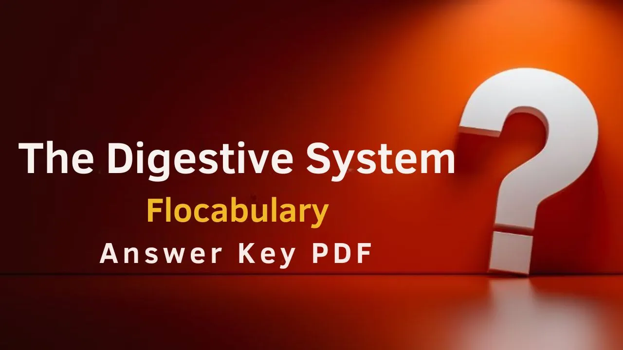 The Digestive System Flocabulary Answer Key PDF