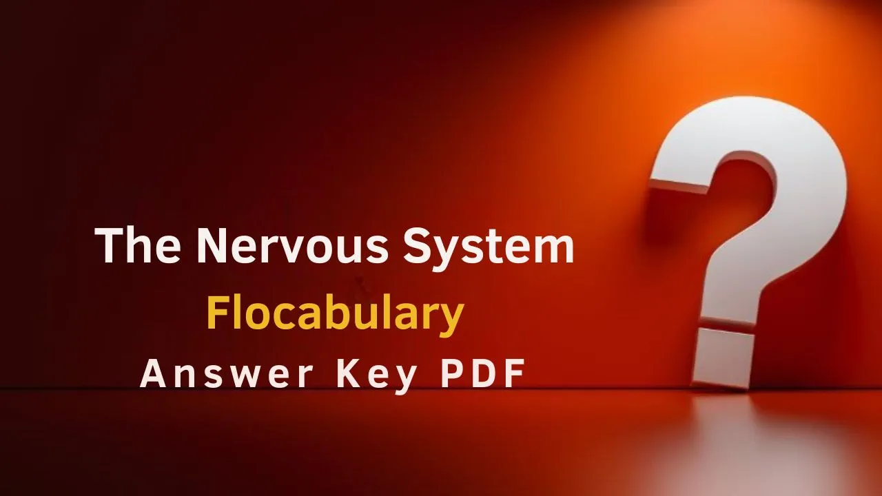 The Nervous System Flocabulary Answer Key PDF