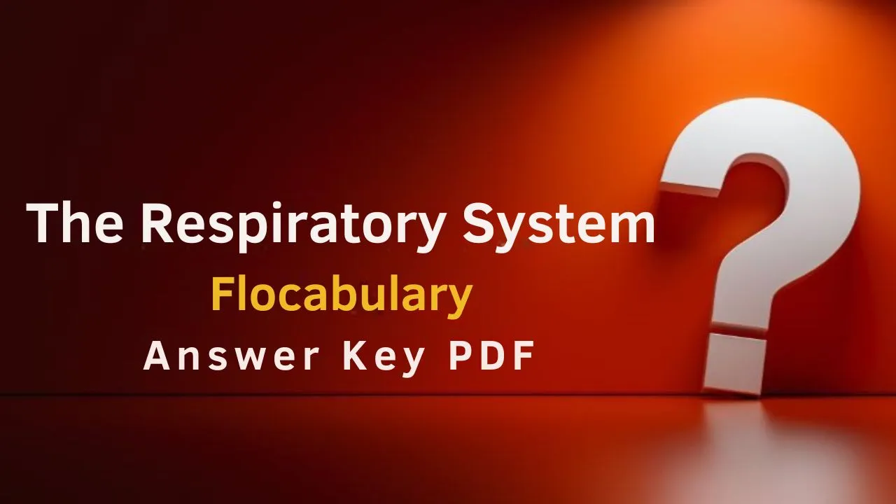 The Respiratory System Flocabulary Answer Key PDF