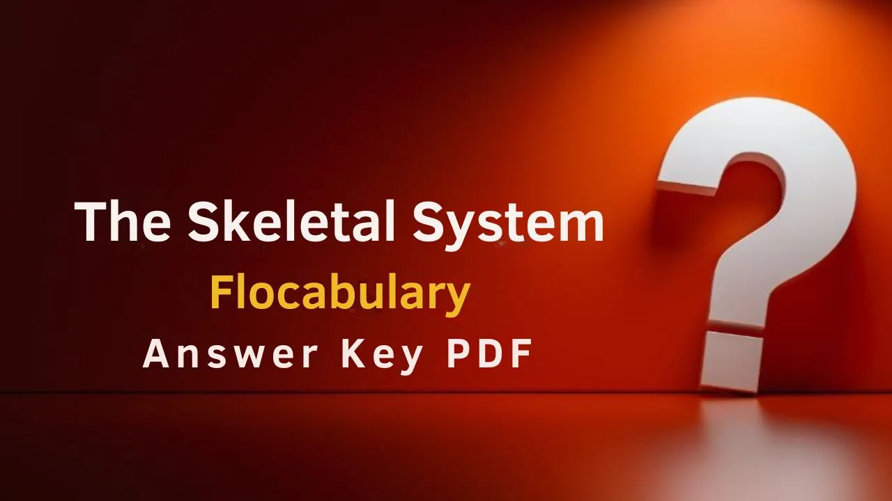 The Skeletal System Flocabulary Answer Key PDF